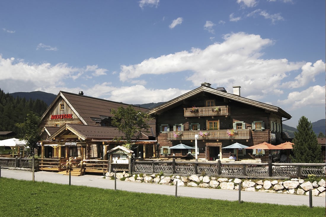Flachauer Gutshof-Musistadl © Flachauer Gutshof